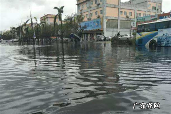 菲律宾500富豪排名 菲律宾强台风排行榜