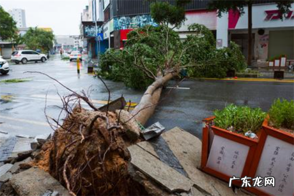 菲律宾500富豪排名 菲律宾强台风排行榜