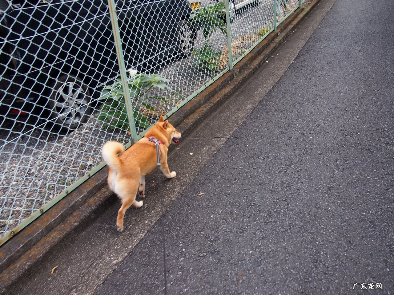 男人真标准的体重是多少?