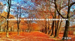 转账一直显示处理中怎么回事 微信转账银行卡一直处理中怎么办