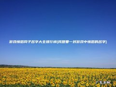 我想要一对游戏中情侣的名字 游戏情侣同子名字大全排行榜