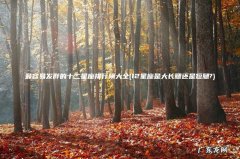 12星座是大长腿还是短腿? 最容易发胖的十二星座排行榜大全