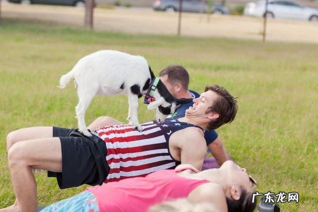 外国人发明了一种山羊瑜伽,用来瘦身减压,具体是怎么练习?