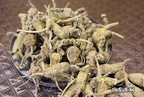 美国特产必购物清单 美国特产有什么