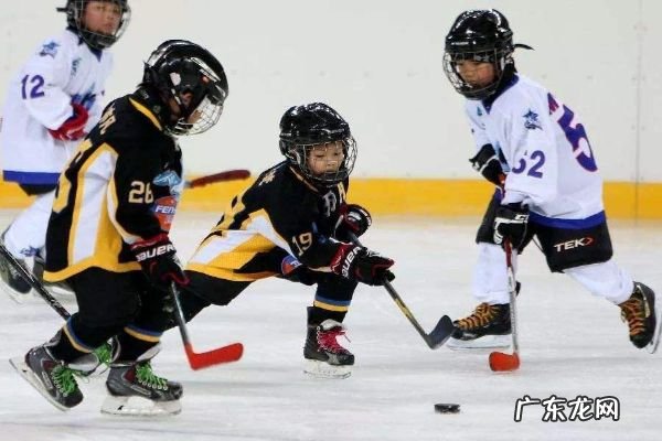 美国排名前三的运动 美国十大体育运动排名