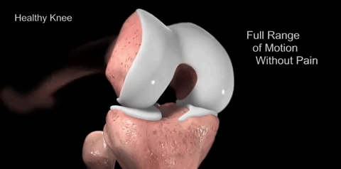 中老年人日常怎么保养膝关节