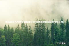 深圳有哪些新能源汽车公司 南山超高人气汽车销售排行榜