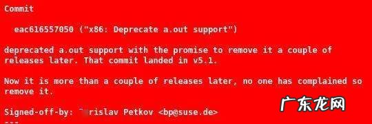Linux 删除 a.out 的相关代码