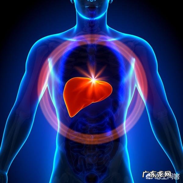 肝不好在生活中需要注意些什么