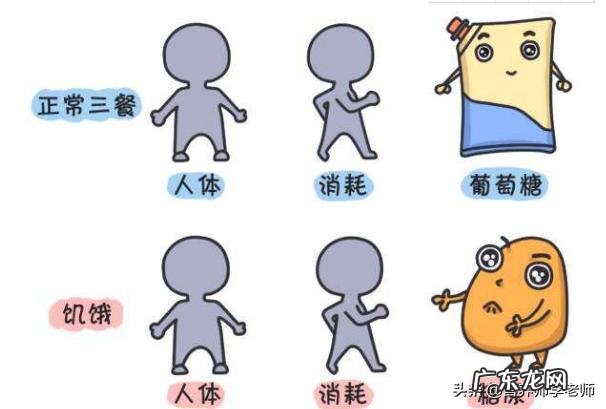 减肥代谢越来越低 为什么我的基础代谢会越来越低?