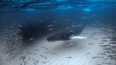 跳完绳，该怎么做10分钟的拉伸运动，尽量详细些，thanks