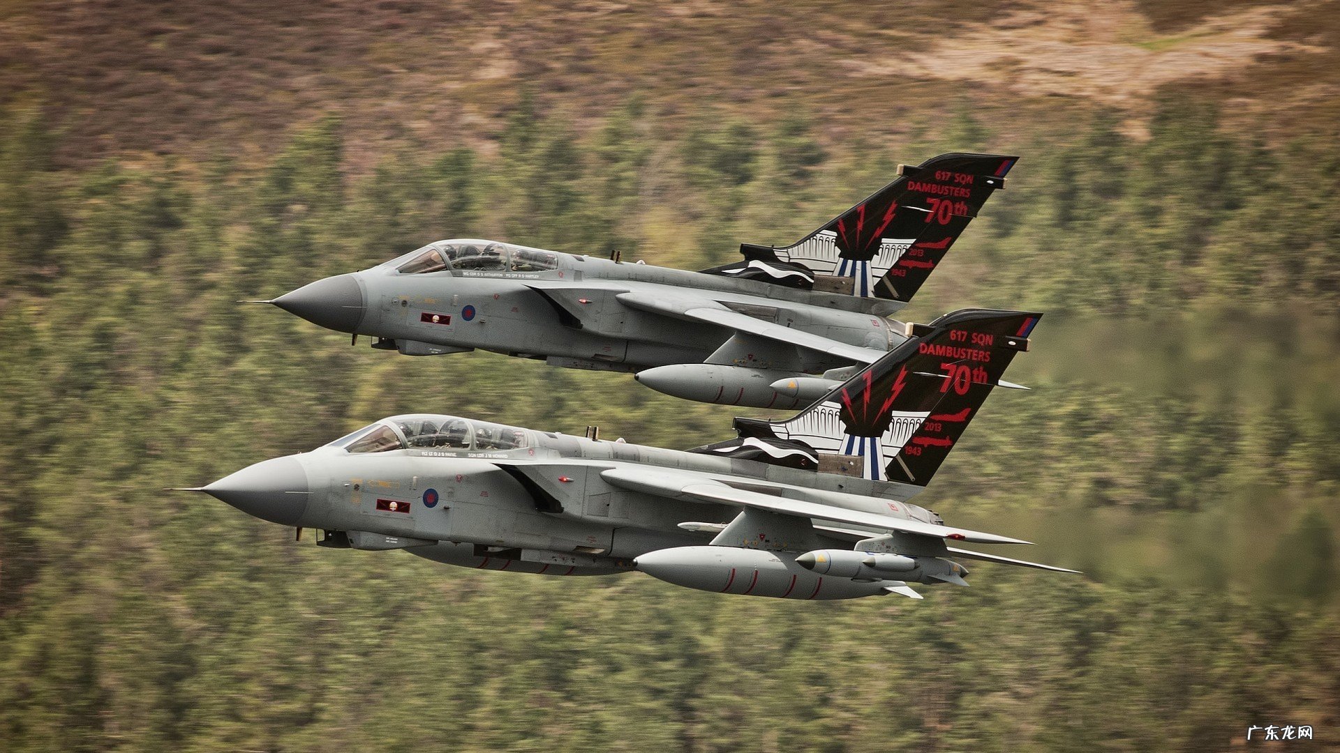 减肥时想吃油炸食品怎么办?