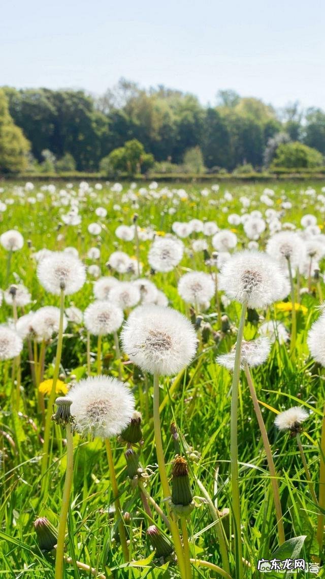 保护眼睛的生活常识有什么呢