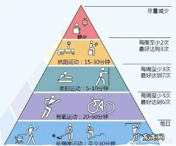 你觉得是吃肉容易发胖,还是吃饭容易发胖为什么