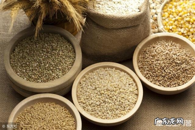 你觉得是吃肉容易发胖,还是吃饭容易发胖为什么