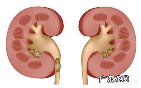 肌酐700多就是尿毒症吗 肌酐高到700,就是尿毒症了吗?