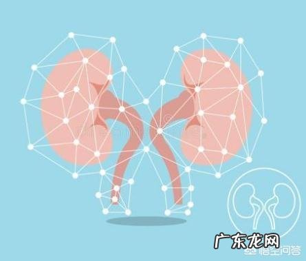 肌酐700多就是尿毒症吗 肌酐高到700，就是尿毒症了吗？