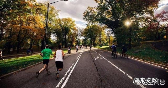 50多岁男人应该怎样锻炼?