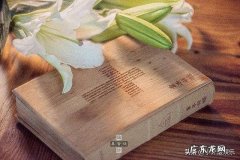 世界上最畅销的书是什么书 世界销售量最多的书籍排行榜2021