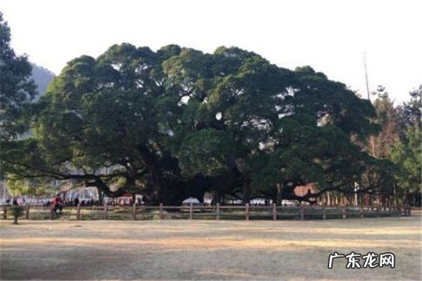 福州有哪些景点好玩的地方 福州好玩的旅游景点排名前十