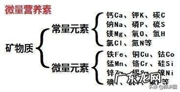 为什么转氨酶升高就说是肝损伤两者之间有什么关系吗