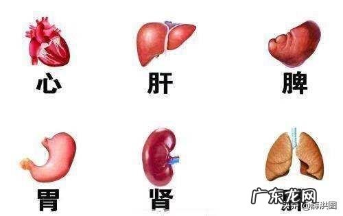 为什么转氨酶升高就说是肝损伤两者之间有什么关系吗