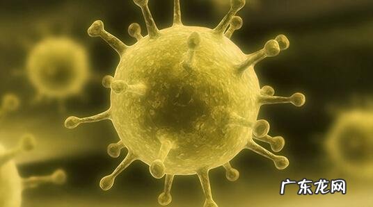 癌症放化疗后免疫力长期低迷,如何预防癌症复发