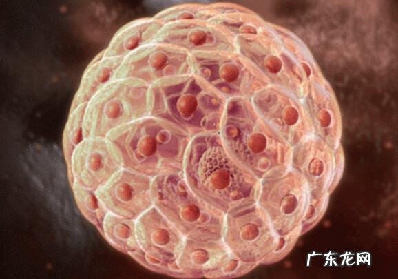 癌症放化疗后免疫力长期低迷,如何预防癌症复发