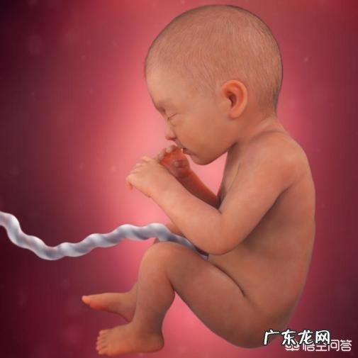 快八个月的宝宝才十二斤多,该怎么办啊