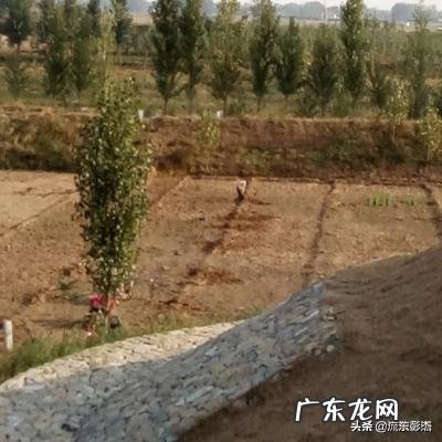 农产品成本法的计算公式 农产品销售成本排行榜