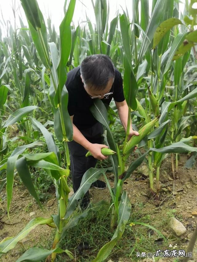 农产品成本法的计算公式 农产品销售成本排行榜