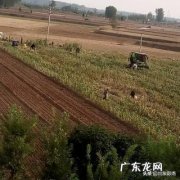 农产品成本法的计算公式 农产品销售成本排行榜