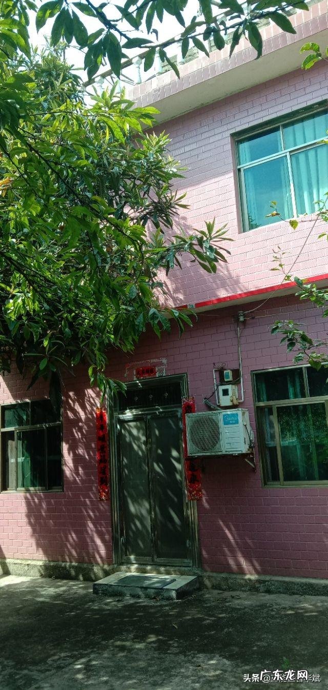 你为什么喜欢独自一人生活?