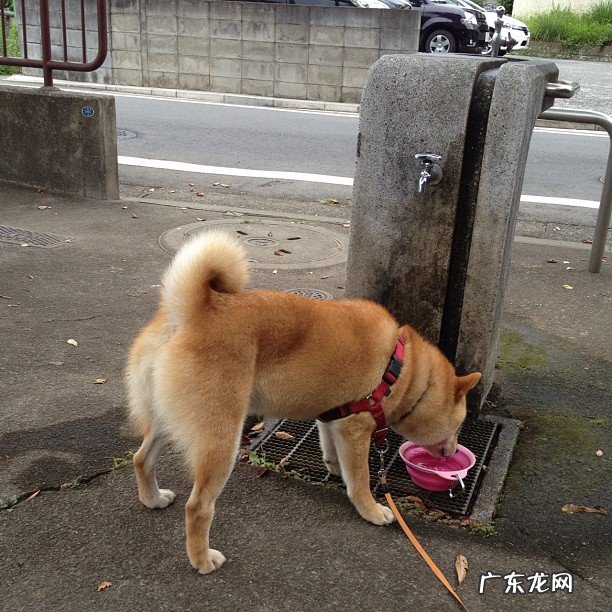 1米74200斤了怎么减肥