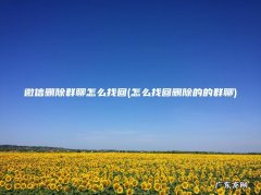 怎么找回删除的的群聊 微信删除群聊怎么找回