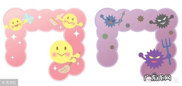 肠道菌群失调拉肚子又便秘,能减肥吗?