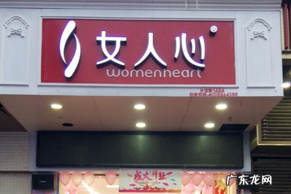 内衣前十大品牌 内衣类十大品牌