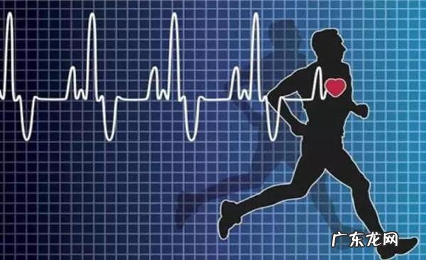 心跳快慢与是否有心血管疾病有关系吗