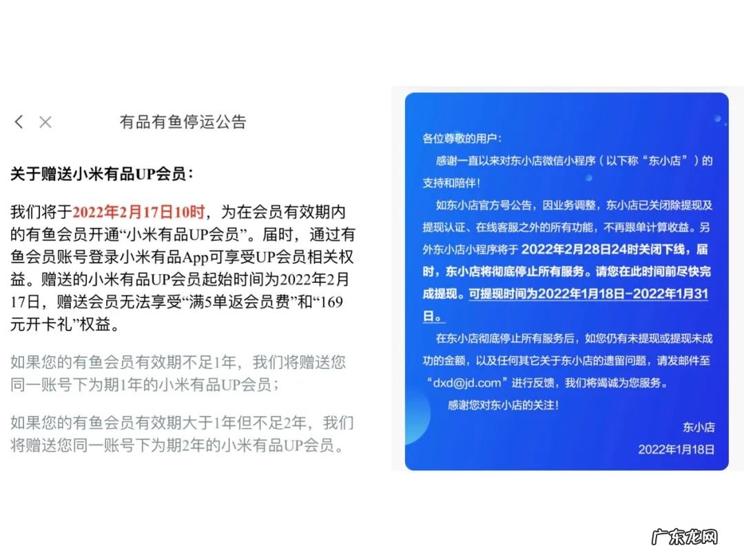 雷军和刘强东,各有一家公司倒在了2022年