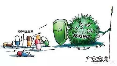 猫感冒能吃阿莫西林吗,猫咪感冒可以吃阿莫西林吗?