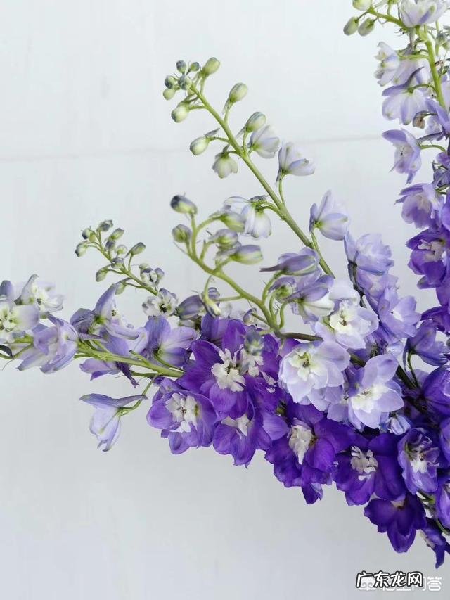 当爱情转变成亲情的时候是不是就不爱了?