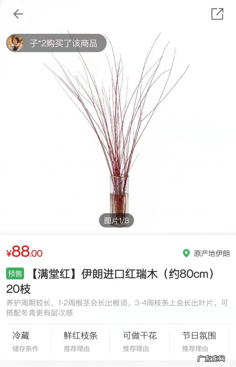 年售1.8亿支!鲜花电商飞速扩张