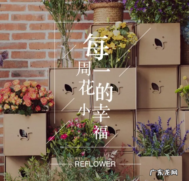 年售1.8亿支!鲜花电商飞速扩张