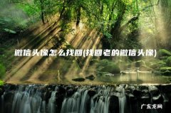 找回老的微信头像 微信头像怎么找回