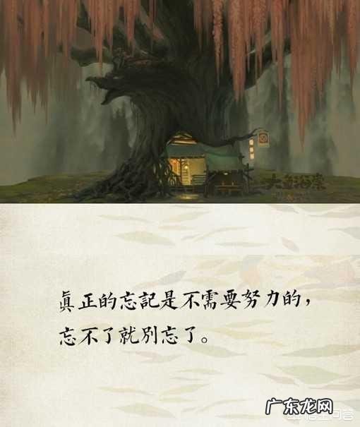 吃柚子会上火吗?柚子的营养价值是什么?