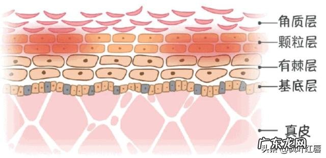 为什么一些人夏天皮肤过敏没冬天多