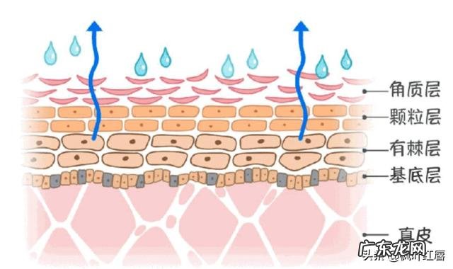 为什么一些人夏天皮肤过敏没冬天多