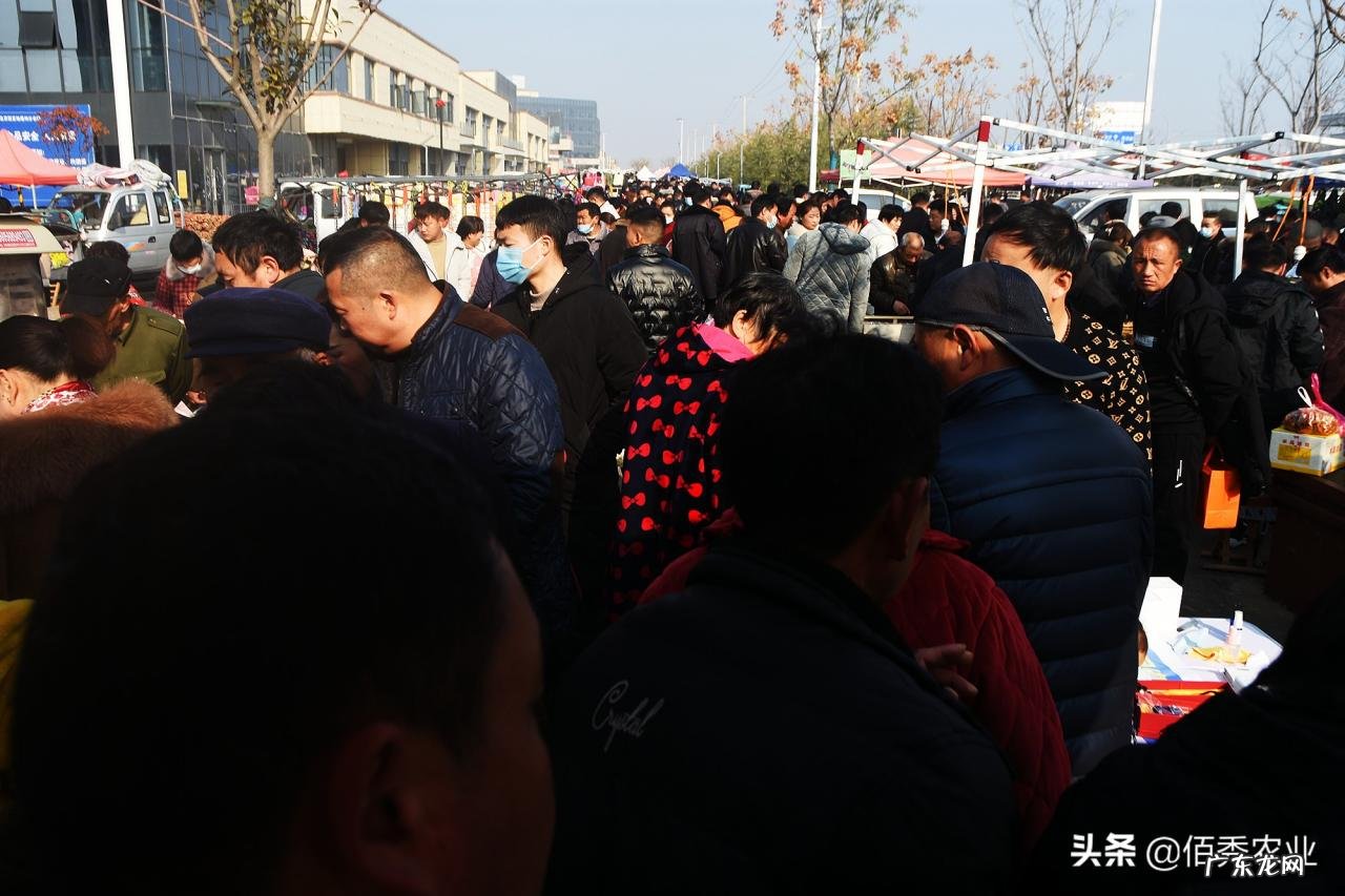 城里人为啥喜欢农村大集？除了物价便宜，还有两点重要因素