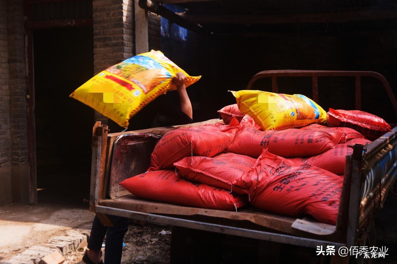 今年春耕化肥依旧高价,会影响农民种植积极性吗?这个问题咋解决