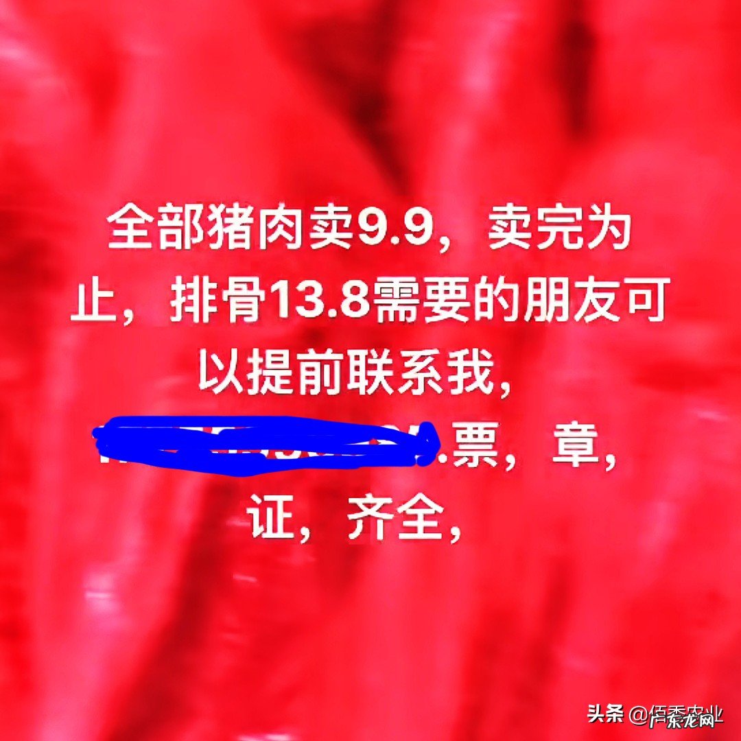 临近春节，猪价不升反降，是什么原因所致，年底还会上涨吗？